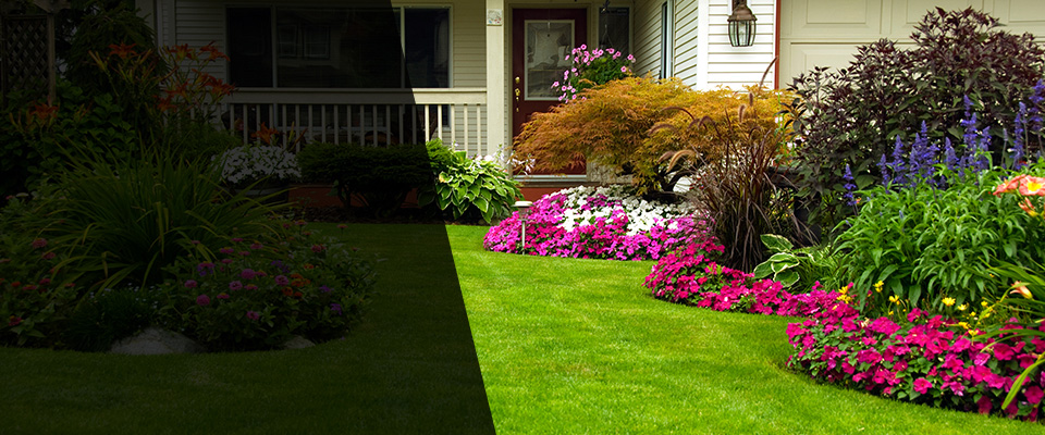 Saint Simons Island Landscapers