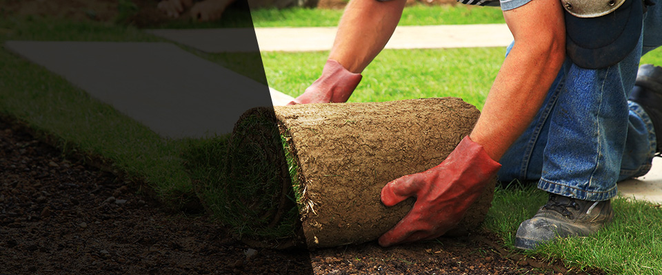 Saint Simons Island Landscapers